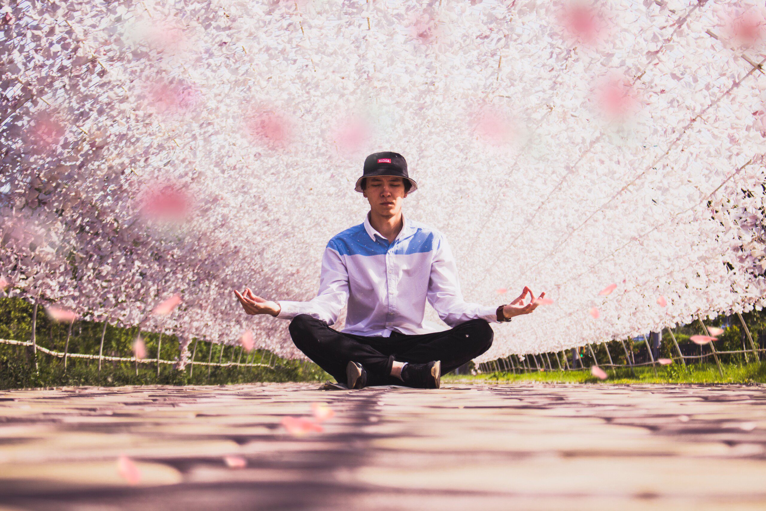 A man meditates amidst cherry blossoms with an arc of water streaming overhead.